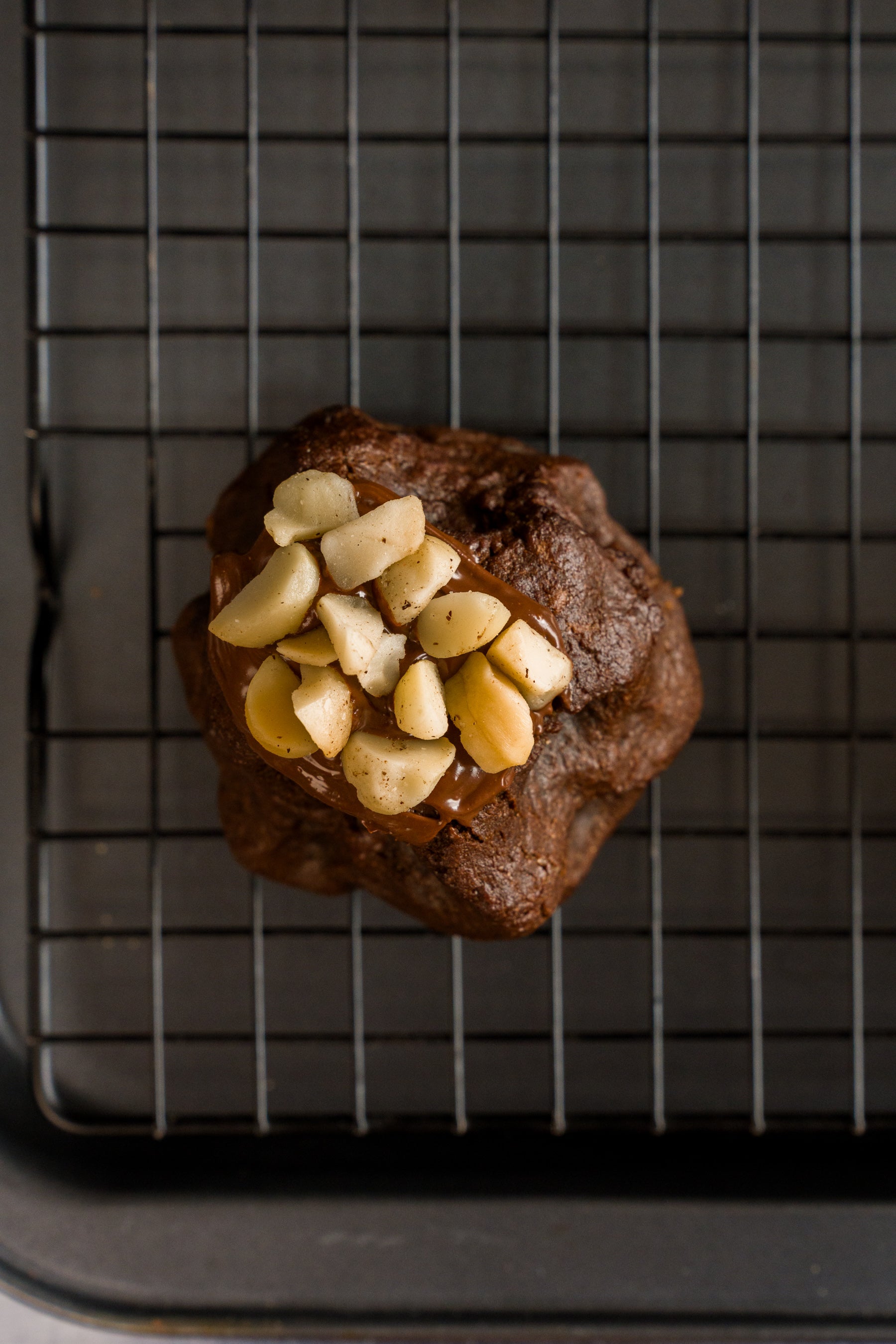 Midnight macadamia